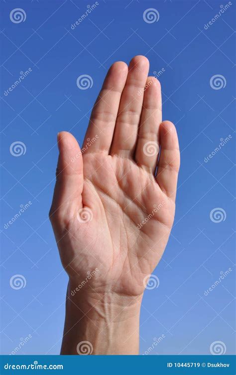 Woman Hand Five Fingers Close Royalty Free Stock Images Image 10445719