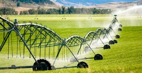 Sprinkler Vs Drip Irrigation Which Is Best For Your Garden