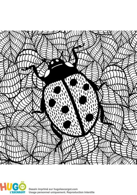 Coloriage Coccinelle Mandala