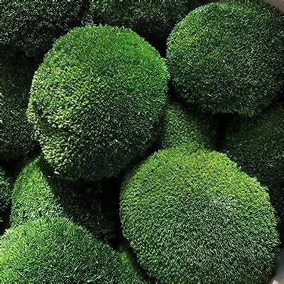 Woohome 30 PCS 3 Size Artificial Moss Rocks Decorative Green Moss