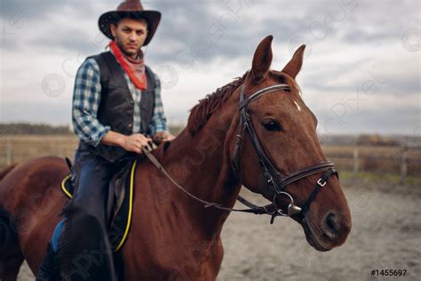 Cowboy riding a horse in desert valley, western - stock photo 1455697 ...