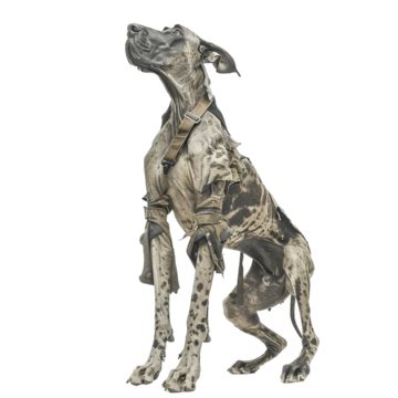 Transparent Big Dog, Dog, Cartoon, Animal PNG Transparent Image and ...