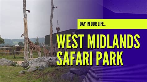 West Midlands Safari Park Monday August 19th 2024 Youtube