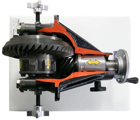 Cutaway Open Adjustable Differential Trainer Ies Teach