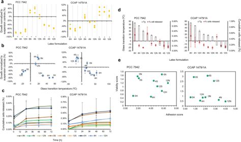 Engineered Living Photosynthetic Biocomposites For Intensified