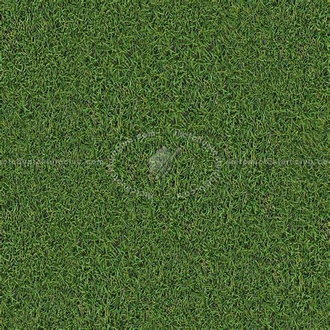 Green Grass Textures Seamless