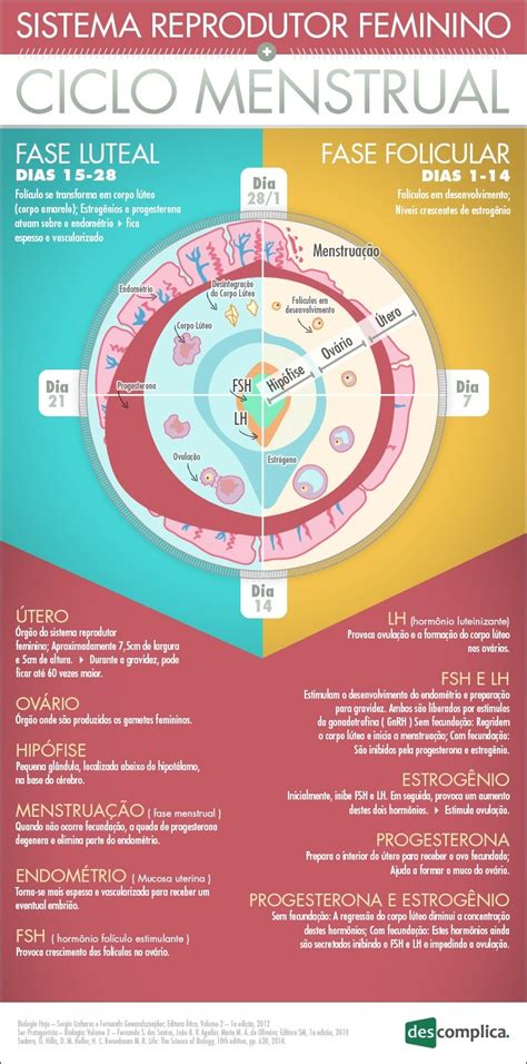 Mapas Mentais Sobre Reprodutor Feminino Study Maps