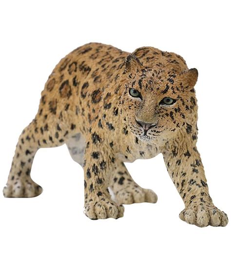 Collecta Amur Leopard - Buy Collecta Amur Leopard Online at Low Price - Snapdeal