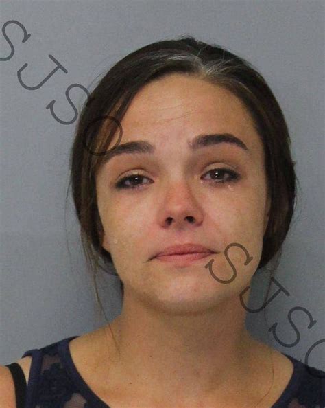 Police report: St. Augustine woman arrested after leaving child in car