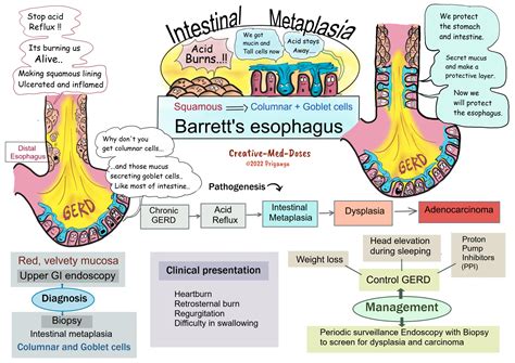 Home - Creative Med Doses