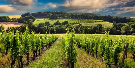 Visiter La Bourgogne En Jours Voyage Priv