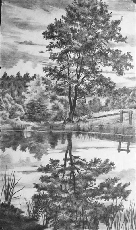 Original pencil drawing: Tree Reflection 1930s Scenery Drawing Pencil ...