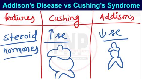 Addison S Disease Vs Cushing S Syndrome Youtube