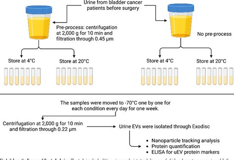 Figure 1 From Pre Analytical Handling Conditions And Protein Marker