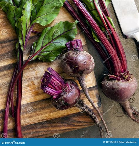 Raw Beetroot Stock Photo Image Of Sweet Uncooked Beet 40716492