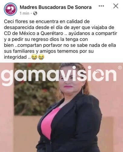 Reportan desaparición de madre buscadora