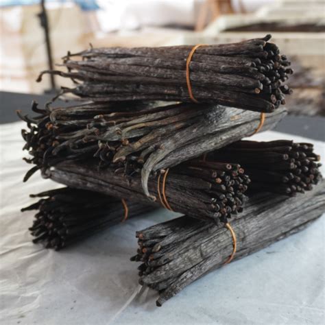 Ceylon Vanilla Beans Grade B 2022 Sri Lanka Vanilla Beans Price Kg