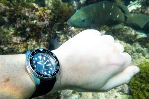 F Is The Seiko SKX007 Still Worth Your Time In 2024