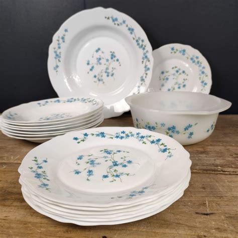 Service d assiettes plats en ARCOPAL à Myosotis Vintage Le palais