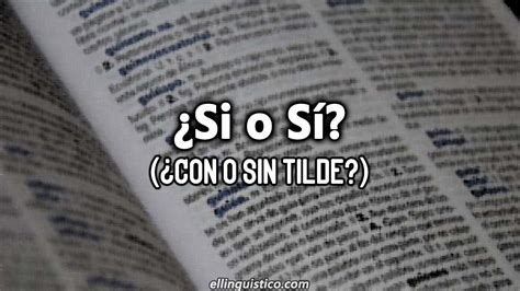 Si O Sí Diferencias Usos Y Ejemplos El Lingüístico