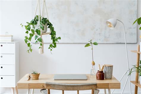 Quer Atrair Boas Energias O Feng Shui Ensina Quais Plantas Ter Em Casa