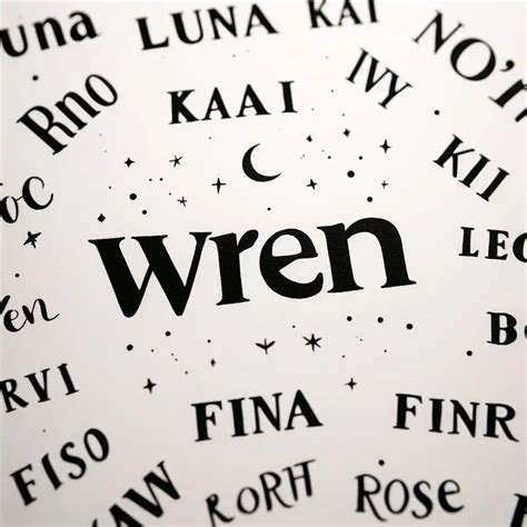 An In Depth Look At The Biblical Meaning Of The Name Wren