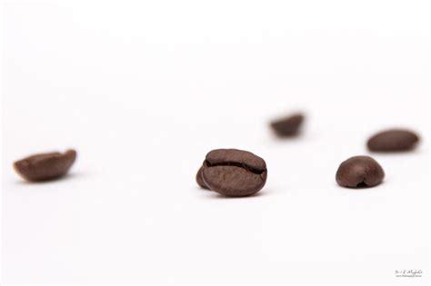 Coffee Seeds – 5-12 iMagInG