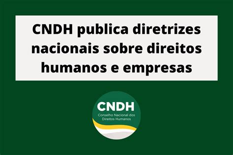 Cndh Publica Diretrizes Nacionais Sobre Direitos Humanos E Empresas