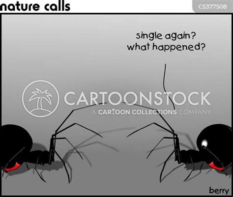 Black Widow Spider Cartoons and Comics - funny pictures from CartoonStock