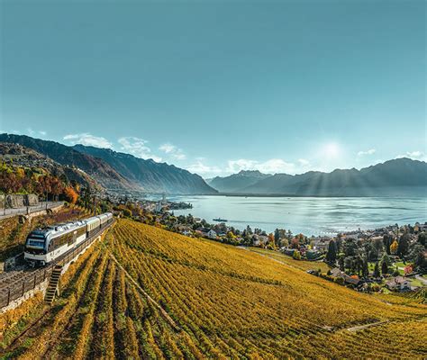 Golden Autumn in Switzerland | TTG Asia