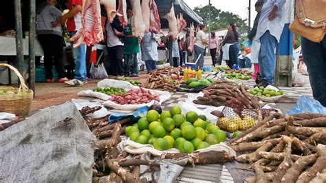 RÉCORD DE VENTAS EN FERIA AGROPECUARIA DE PEQUEÑOS PRODCUTORES