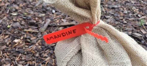 Zip Tie Tag by Christian Schröder | Download free STL model