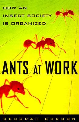 Ants At Work: How An Insect Society Is Organized
