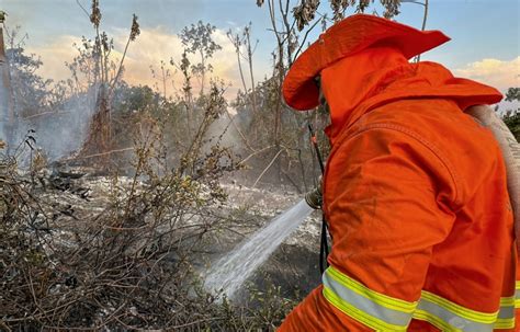 Los incendios se agravan en el Pantanal brasileño el mayor humedal del