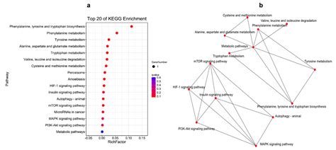 Ijms Free Full Text Comparative Transcriptomic Analyses Revealed The Effects Of Poly Ic