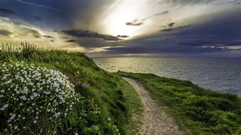 Download Horizon Sky Flower England Sea Ocean Nature Path Hd Wallpaper