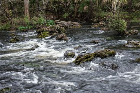 Hillsborough River State Park