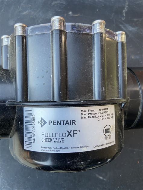 Pentair 263060 25″ 3″ Straight Cpvc Fullfloxf Check Valve 789610230532