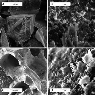 A Scanning Electron Microscopy SEM Of Bioactive Glass Particles