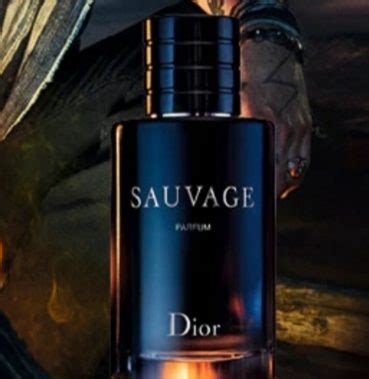 Top 10 Most Complimented Perfumes For Men Castle And Beauty