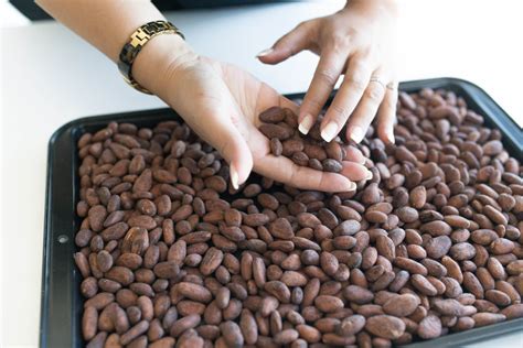 How We Process Our Chocolate Bar Alouss Chocolate Makers