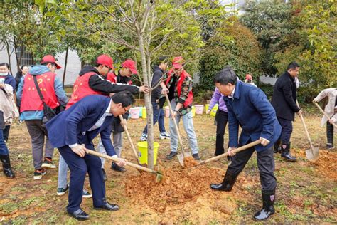 学校开展2021年春季义务植树活动