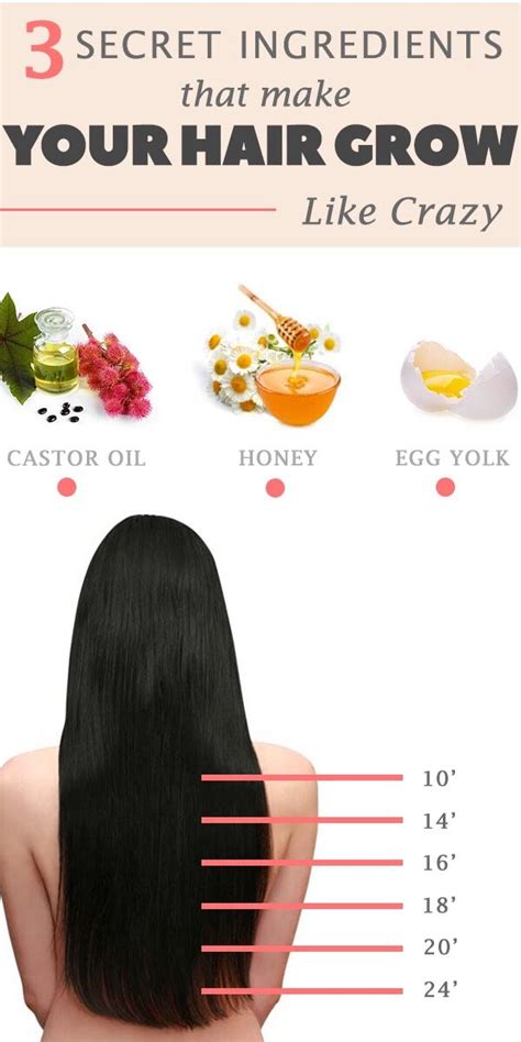 The Hair Growth Chart Shows How To Grow Your Hair In Minutes Or Less