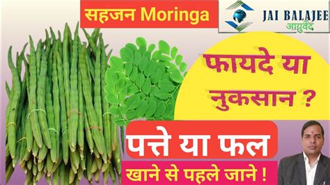 सहजन के फायदे I सहजन खाने के फायदे और नुकसान I The Benefits Of Sahjan Jaibalajeeayurved Youtube