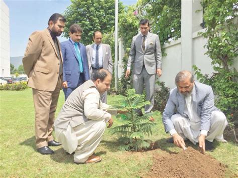 Nbp Launches Tree Plantation Drive