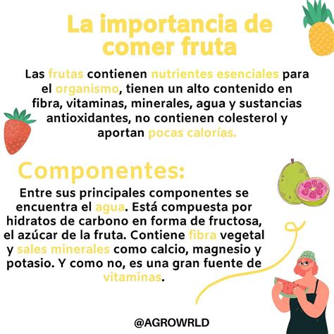 La Importancia De Comer Fruta Comer Frutas Importancia De Las Frutas