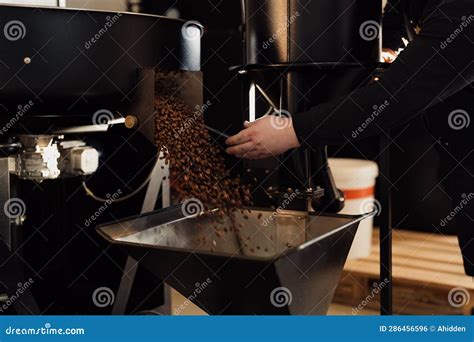 Crop Man Releasing Roasted Coffee Beans From Cooling Tray Stock Photo