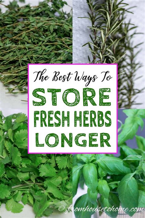 Clever Herb Storage Ideas For A Fresh And Flavorful Kitchen