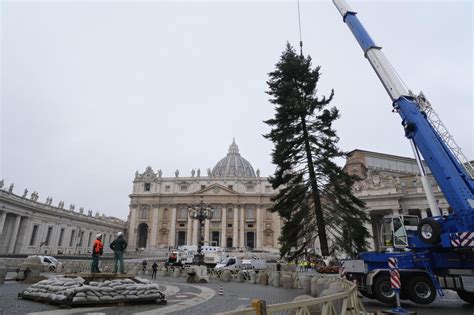 Risolto il pasticcio dell albero di Natale donato dall Abruzzo è