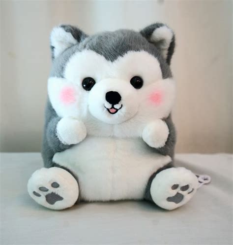 Corgi Plush | Flower Gift Korea